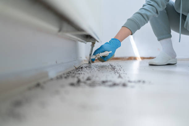 Best Affordable Pest Control Services  in Manchester, MO